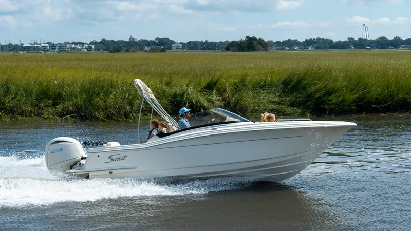 Slide: The Image of Scout 220 Dorado 2026 - 10