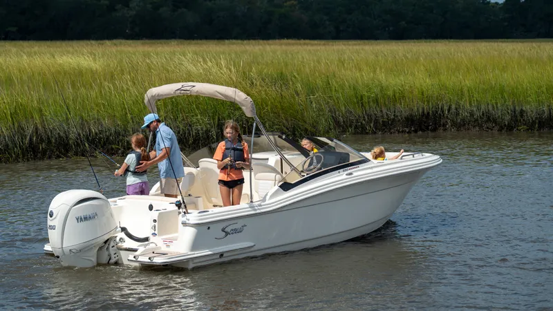 Slide: The Image of Scout 220 Dorado 2026 - 12