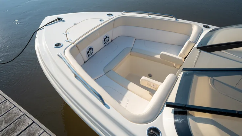 Slide: The Image of Scout 220 Dorado 2026 - 15