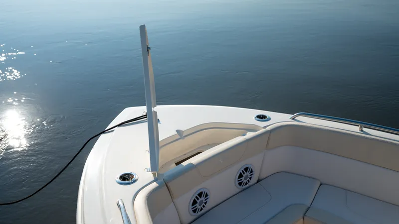 Slide: The Image of Scout 220 Dorado 2026 - 16