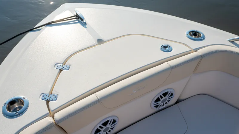 Slide: The Image of Scout 220 Dorado 2026 - 17