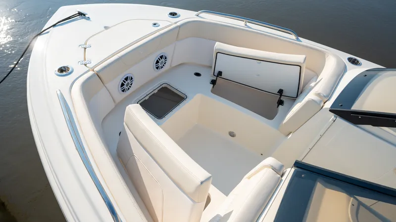 Slide: The Image of Scout 220 Dorado 2026 - 19