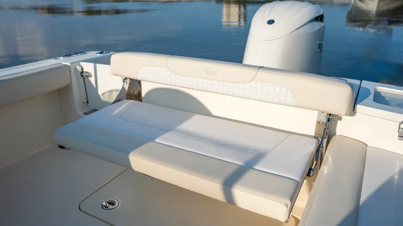 Slide: The Image of Scout 220 Dorado 2026 - 41
