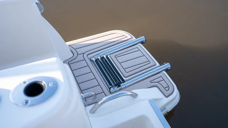 Slide: The Image of Scout 220 Dorado 2026 - 46