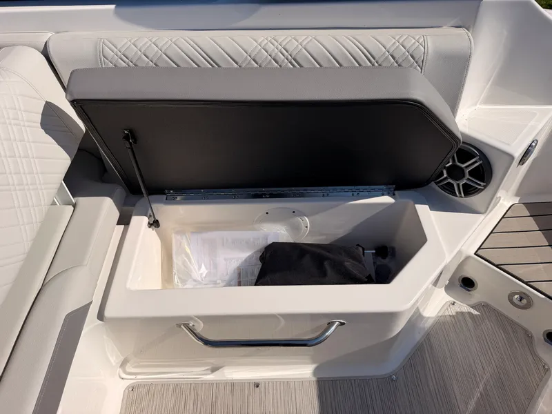 Slide: The Image of Sea Ray SDX 270 2026 - 30