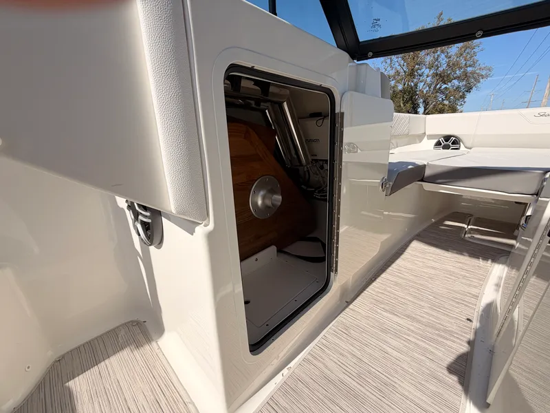 Slide: The Image of Sea Ray SDX 270 2026 - 54