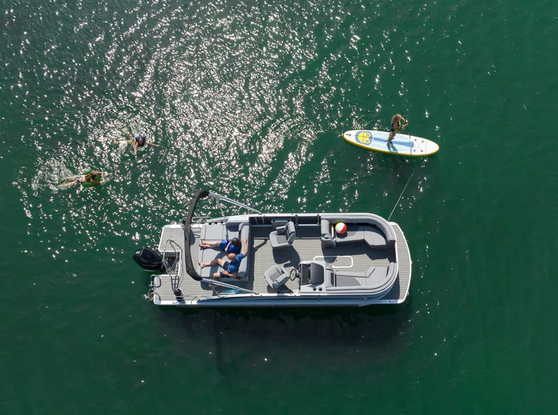 Slide: The Image of Harris Solstice 230 2026 - 5