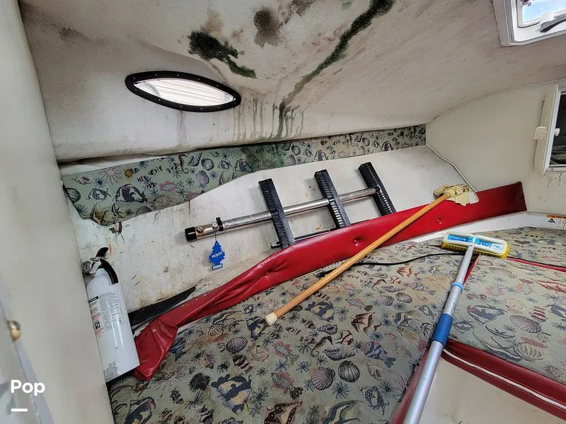 Slide: The Image of Baha Cruisers 251 GLE 2008 - 15040376