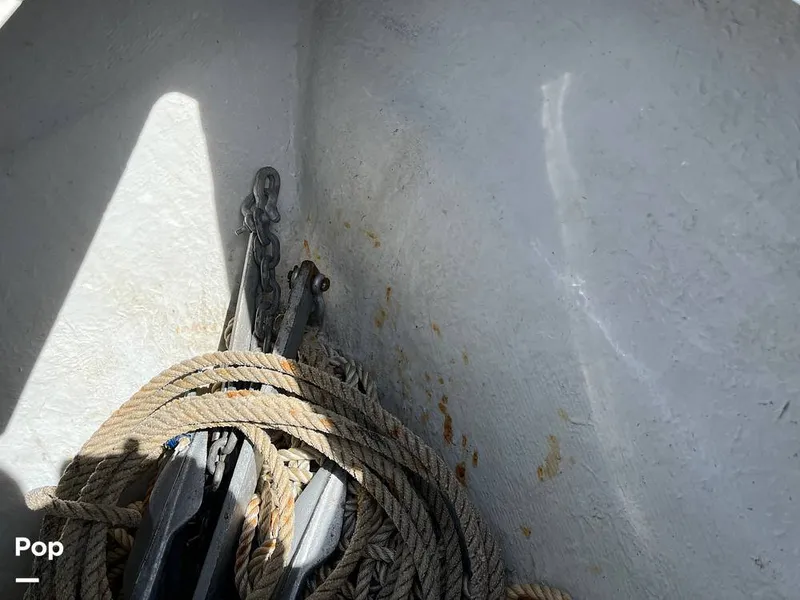 Slide: The Image of Century 2301 2006 - 15818048