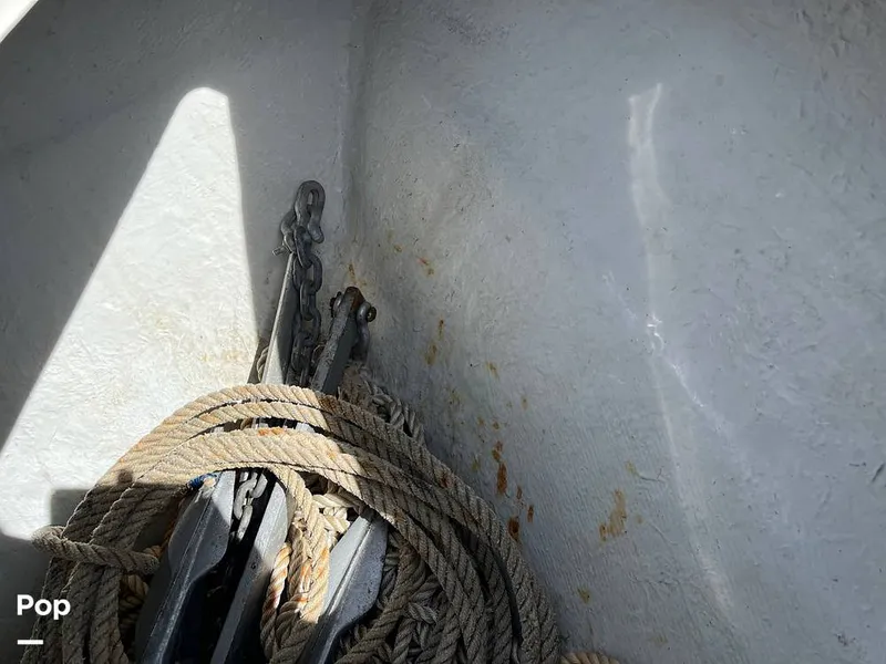 Slide: The Image of Century 2301 2006 - 15818049