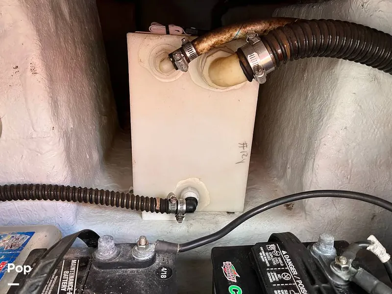 Slide: The Image of Century 2301 2006 - 15818087