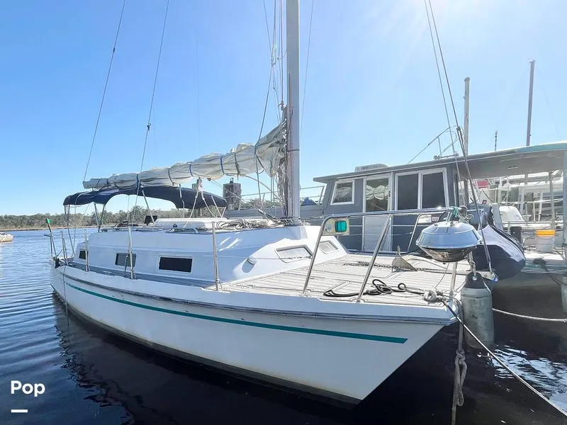 Slide: The Image of Intercat 1500 28' Catamaran - 15263376