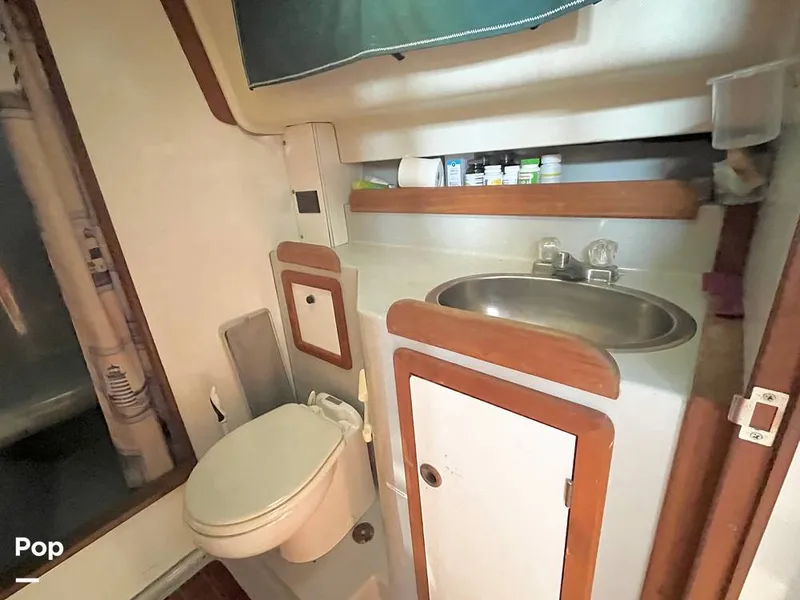 Slide: The Image of Head - 15263366