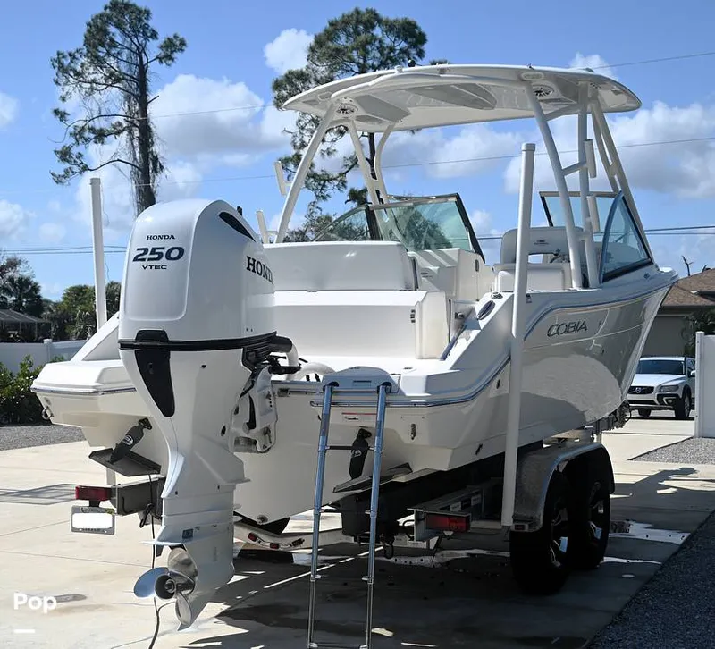 Slide: The Image of Cobia 240 DC 2021 - 15160171