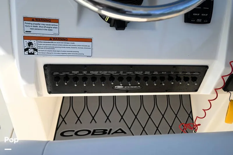 Slide: The Image of Cobia 240 DC 2021 - 15160285