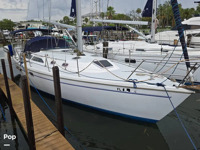 Slide: The Image of Catalina 36 MKII 2000 - 15966095