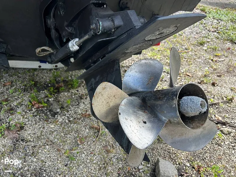 Slide: The Image of Larson LXI 292 2013 - 15939377