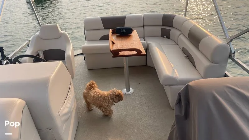 Slide: The Image of Sanibel Cat SBC224 2024 - 15734899