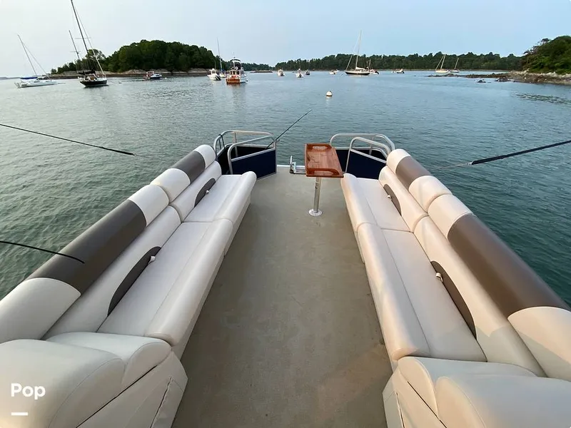 Slide: The Image of Sanibel Cat SBC224 2024 - 15736877