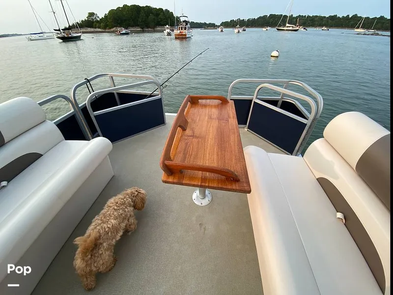 Slide: The Image of Sanibel Cat SBC224 2024 - 15736878