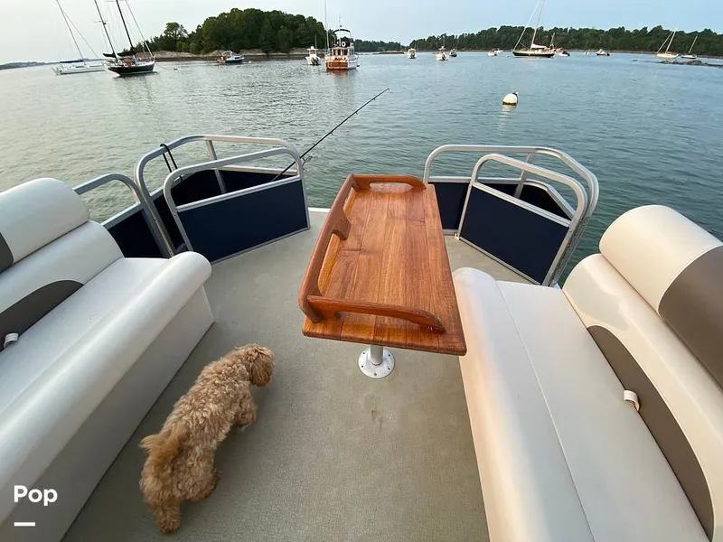 Slide: The Image of Sanibel Cat SBC224 2024 - 15736880