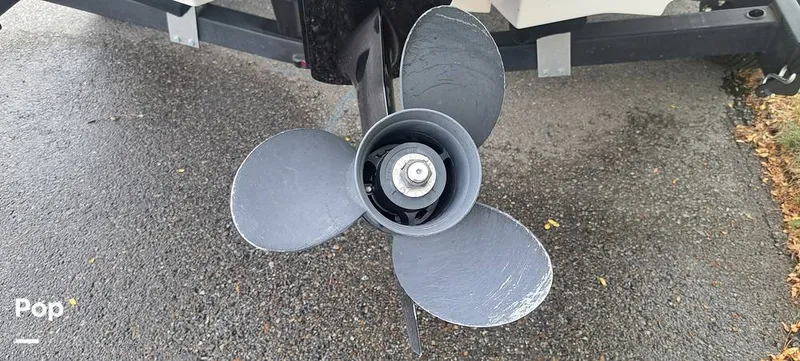 Slide: The Image of Sea Ray SPX 190 2022 - 15810392