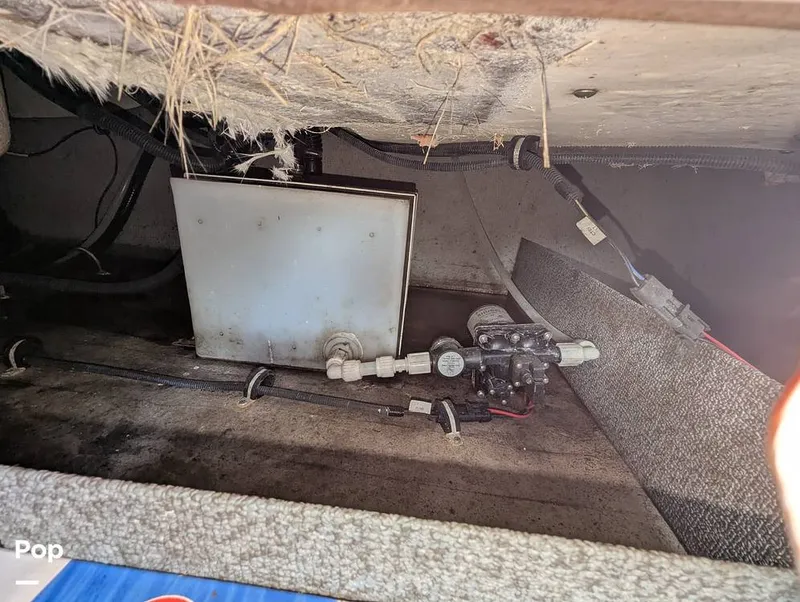 Slide: The Image of Starcraft SVX 231 OB 2022 - 15338982