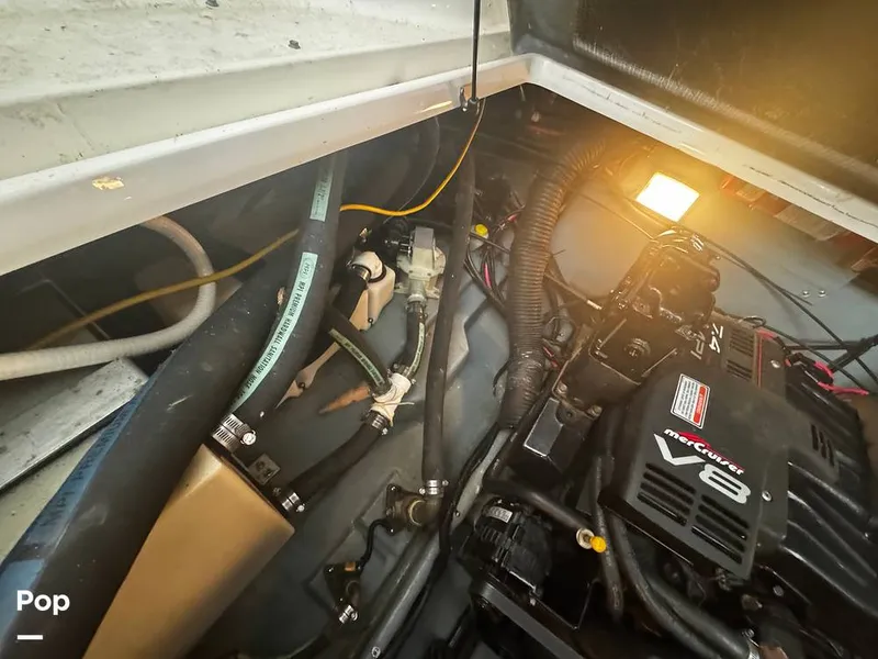 Slide: The Image of Sea Ray 270 Sundancer 1999 - 15170277