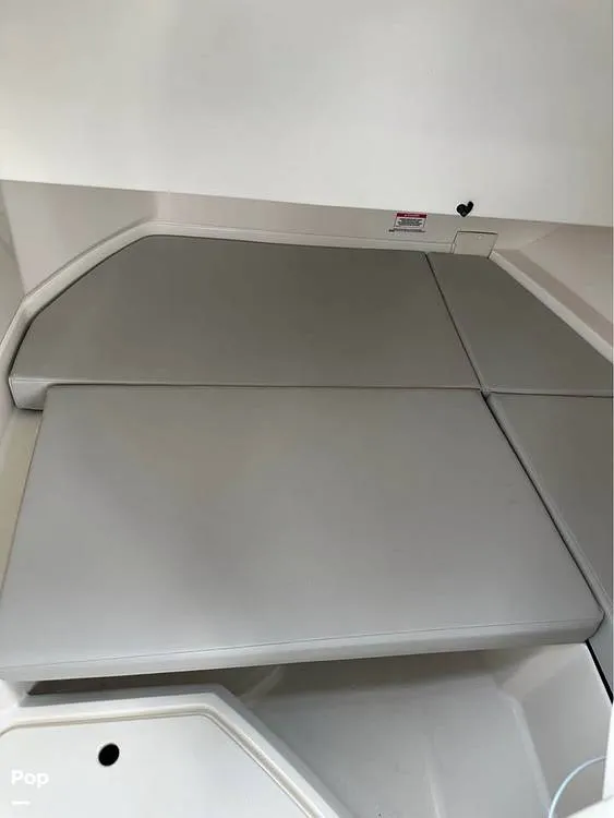 Slide: The Image of Sea Ray SDX 250 2020 - 15150914