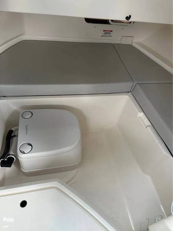 Slide: The Image of Sea Ray SDX 250 2020 - 15150915