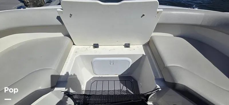 Slide: The Image of Sea Ray SDX 250 2020 - 16257541