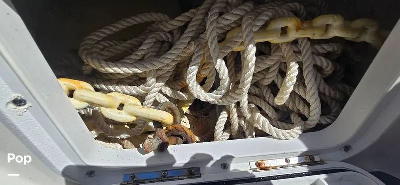 Slide: The Image of Sea Ray SDX 250 2020 - 16257542