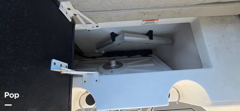 Slide: The Image of Sea Ray SDX 250 2020 - 16257575