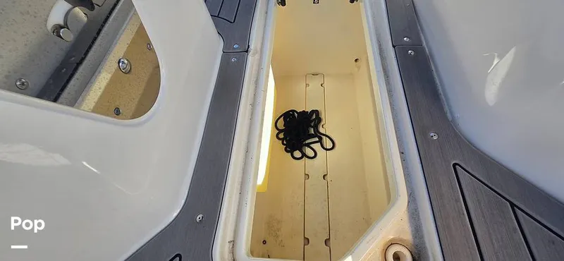 Slide: The Image of Sea Ray SDX 250 2020 - 16257578