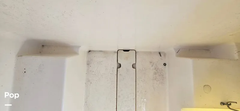 Slide: The Image of Sea Ray SDX 250 2020 - 16257579