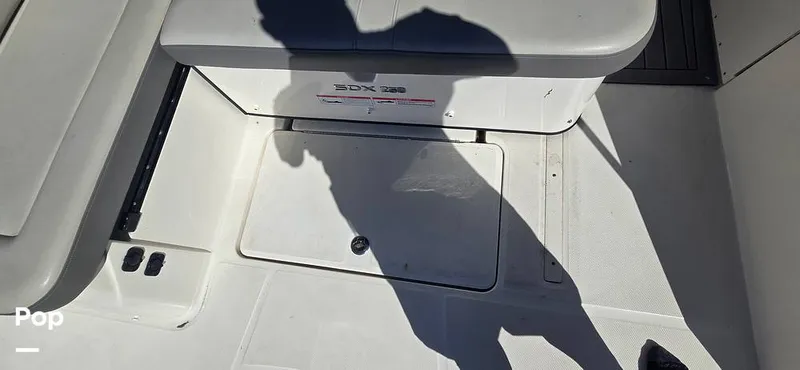 Slide: The Image of Sea Ray SDX 250 2020 - 16257590