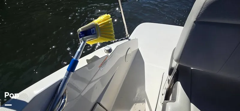 Slide: The Image of Sea Ray SDX 250 2020 - 16257599