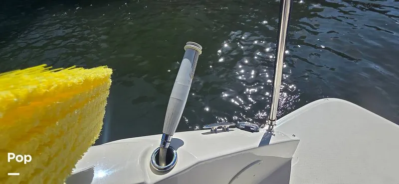 Slide: The Image of Sea Ray SDX 250 2020 - 16257600