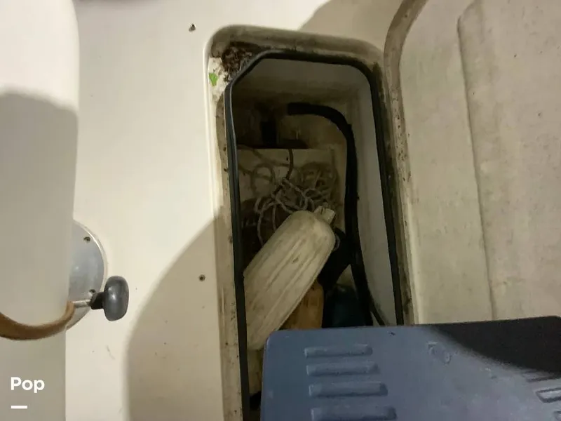 Slide: The Image of Sea Ray 260 BR 1998 - 15201470