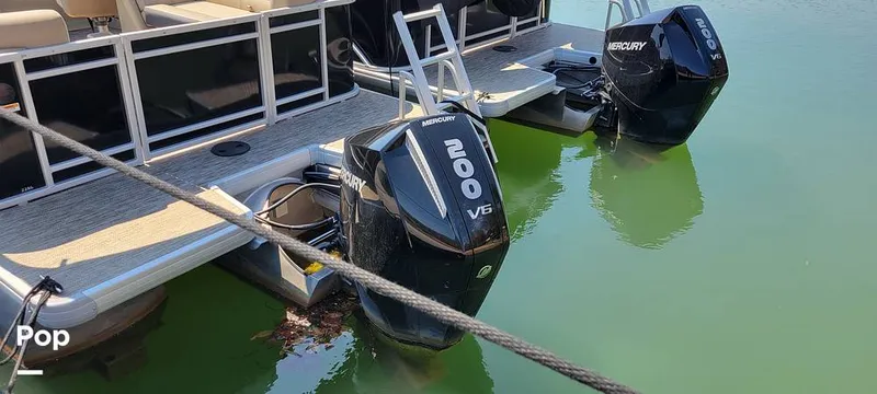 Slide: The Image of Godfrey Sweetwater 2286 2024 - 15307337