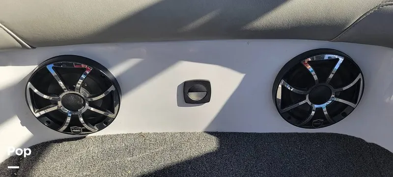 Slide: The Image of Sanger V215 2013 - 15379373