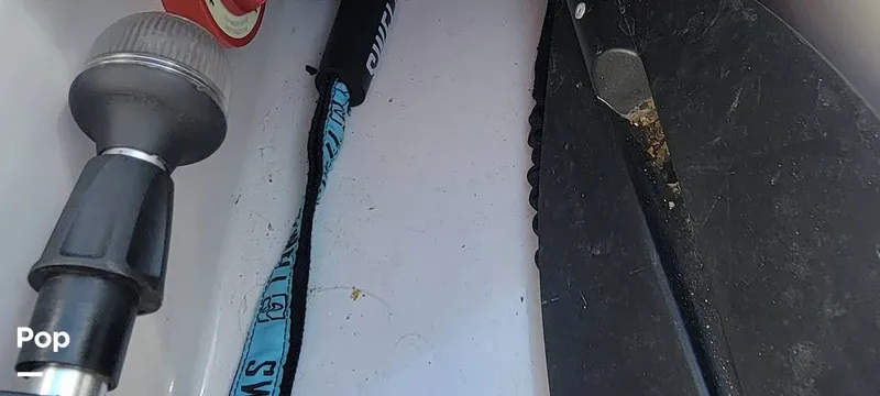 Slide: The Image of Sanger V215 2013 - 15379378