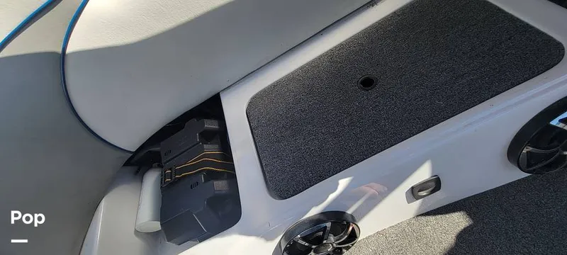 Slide: The Image of Sanger V215 2013 - 15379379