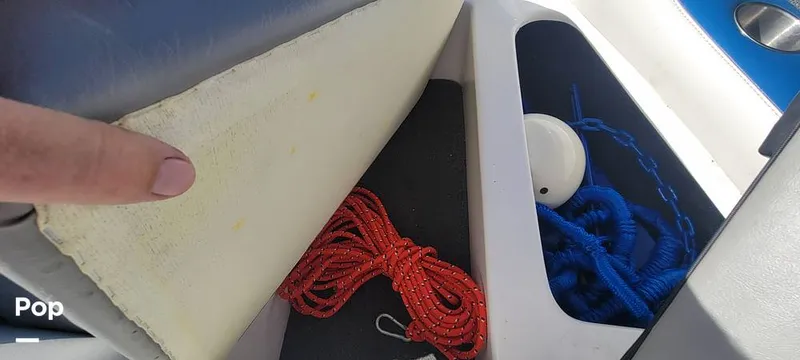 Slide: The Image of Sanger V215 2013 - 15379385