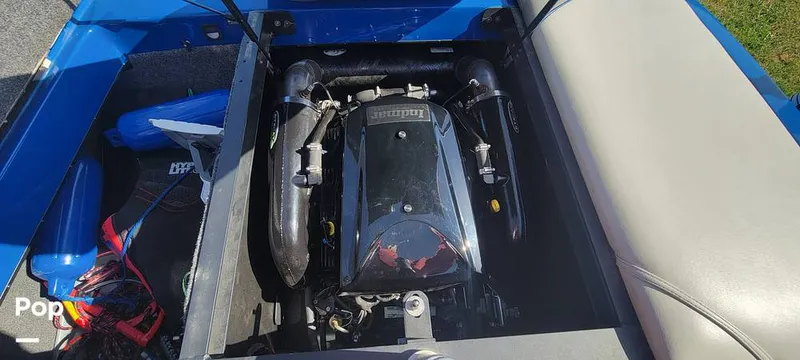 Slide: The Image of Sanger V215 2013 - 15379418