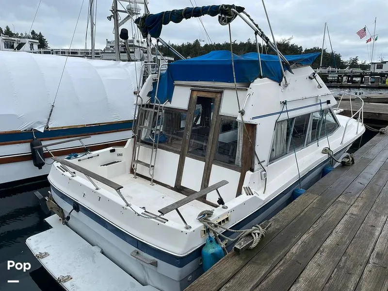 The Image of Bayliner Ciera 2858 Command Bridge 1989 - 15195176