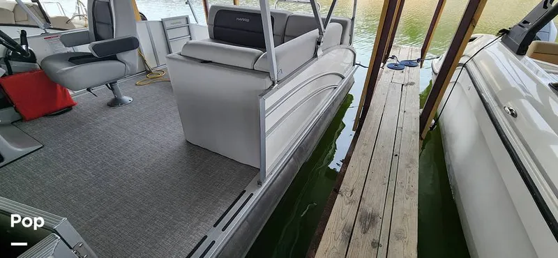 Slide: The Image of Harris Cruiser 230 2024 - 15214407