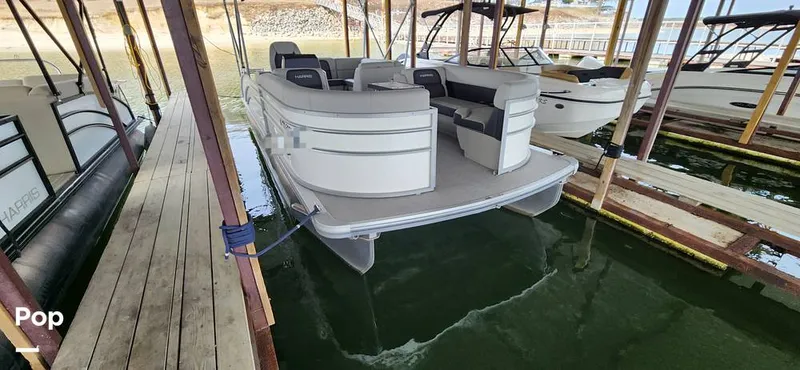 Slide: The Image of Harris Cruiser 230 2024 - 15214428