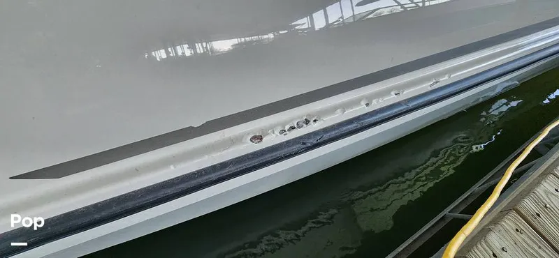 Slide: The Image of Bayliner DX2200 2023 - 15187919