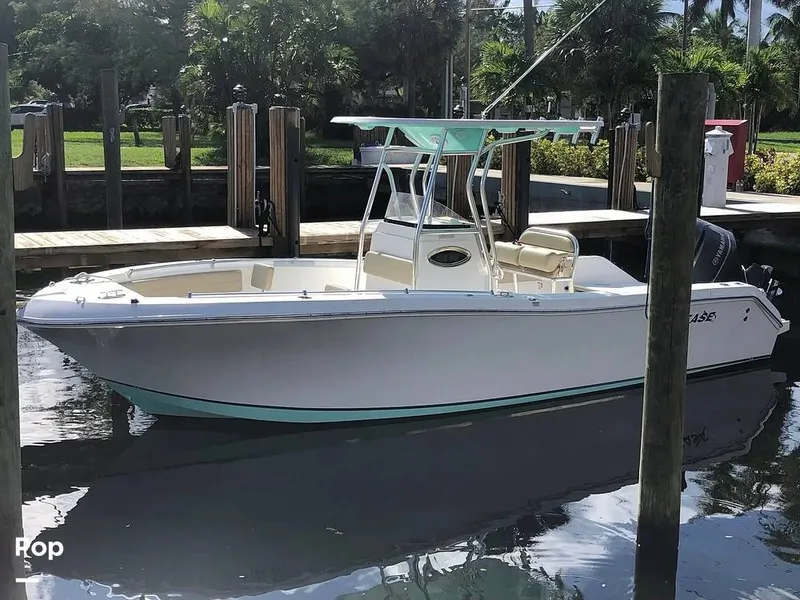 The Image of 2020 Release 240RX - 15181137